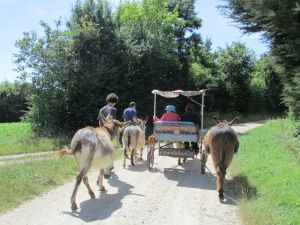 sortie avec " li'anes "